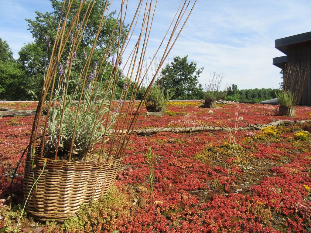 D'Une Autre Nature Mesland Exterior photo